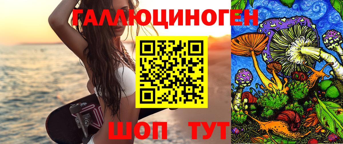 Псилоцибиновые грибы MAGIC MUSHROOMS  Вход с VPN  Псилоцибиновые грибы Magic Shrooms  хочу наркоту  Заводоуковск 