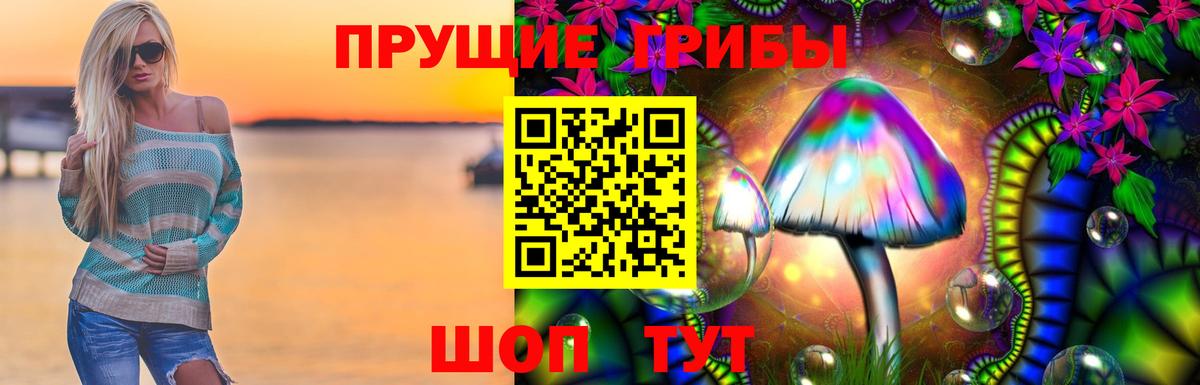 Галлюциногенные грибы мицелий Заводоуковск